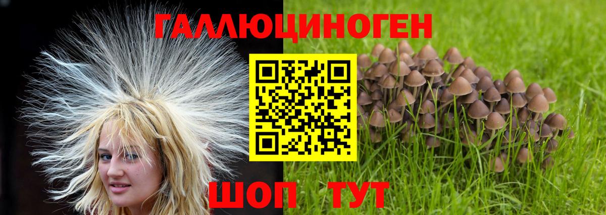 Зеленокумск  Псилоцибиновые грибы Psilocybe  Вход с VPN 
